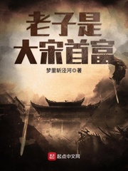 老子是大宋首富