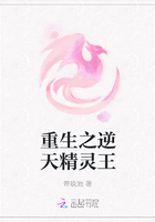 重生之逆天精灵王