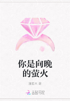 你是向晚的萤火
