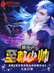 都市之至尊少帅
