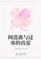 何进鑫与过客的真爱