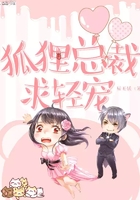 狐狸总裁，求轻宠