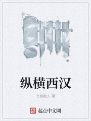 纵横西汉