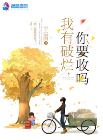 我有破烂，你要收吗