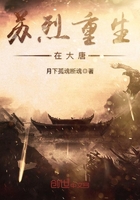 苏烈重生在大唐