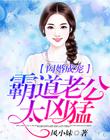 闪婚成宠，霸道老公太凶猛
