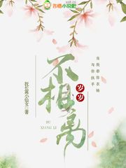 岁岁不相离