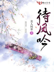 待凤吟