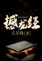 撼龙经