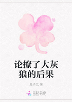 论撩了大灰狼的后果