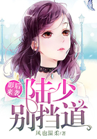 影后来袭：陆少别挡道