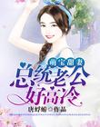 萌宝甜妻：总统老公好高冷