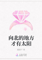 向北的地方才有太阳