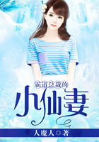 霸道总裁的小仙妻