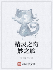 精灵之奇妙之旅