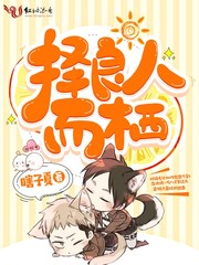 择良人而栖