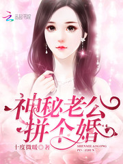 神秘老公，拼个婚！