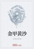 金甲黄沙
