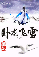 卧龙飞雪