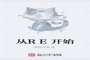从RE开始