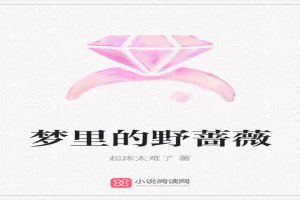 梦里的野蔷薇