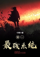 第一最贱系统