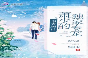 追妻36计：萧少的独家专宠