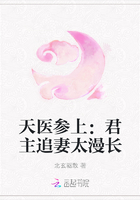 天医参上：君主追妻太漫长
