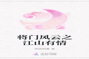 将门风云之江山有情