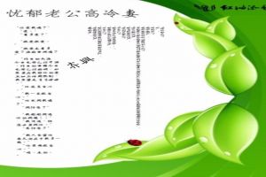 忧郁老公高冷妻