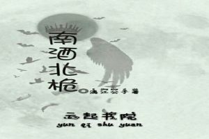 南酒北桅