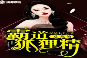 总裁的霸道狐狸精