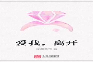 爱我，离开