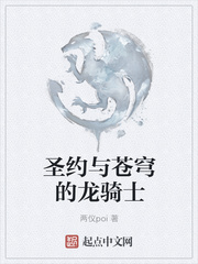 圣约与苍穹的龙骑士