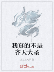 我真的不是齐天大圣