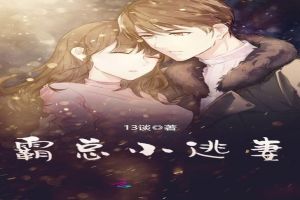 霸总小逃妻