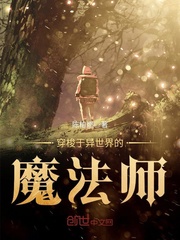 穿梭于异世界的魔法师