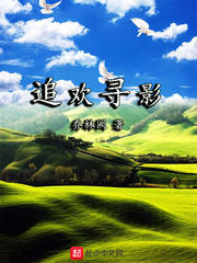 追欢寻影