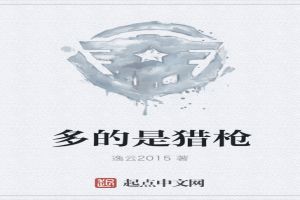 多的是猎枪