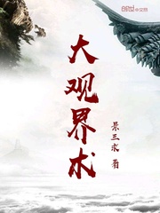 大观界术