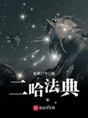 二哈法典