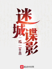 迷城谍影