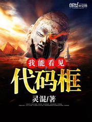 我能看见代码框