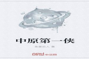中原第一侠