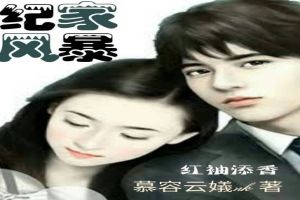 纪家风暴