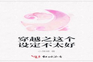穿越之这个设定不太好