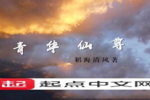 青华仙尊