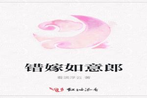 错嫁如意郎