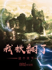 我掀翻了这个天下