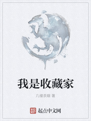 我是收藏家